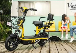 求電動(dòng)車十大品排名榜,有哪些比較推薦