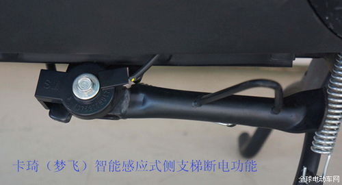 綠能電動車實現多元化升級，重磅來襲引領行業新浪潮